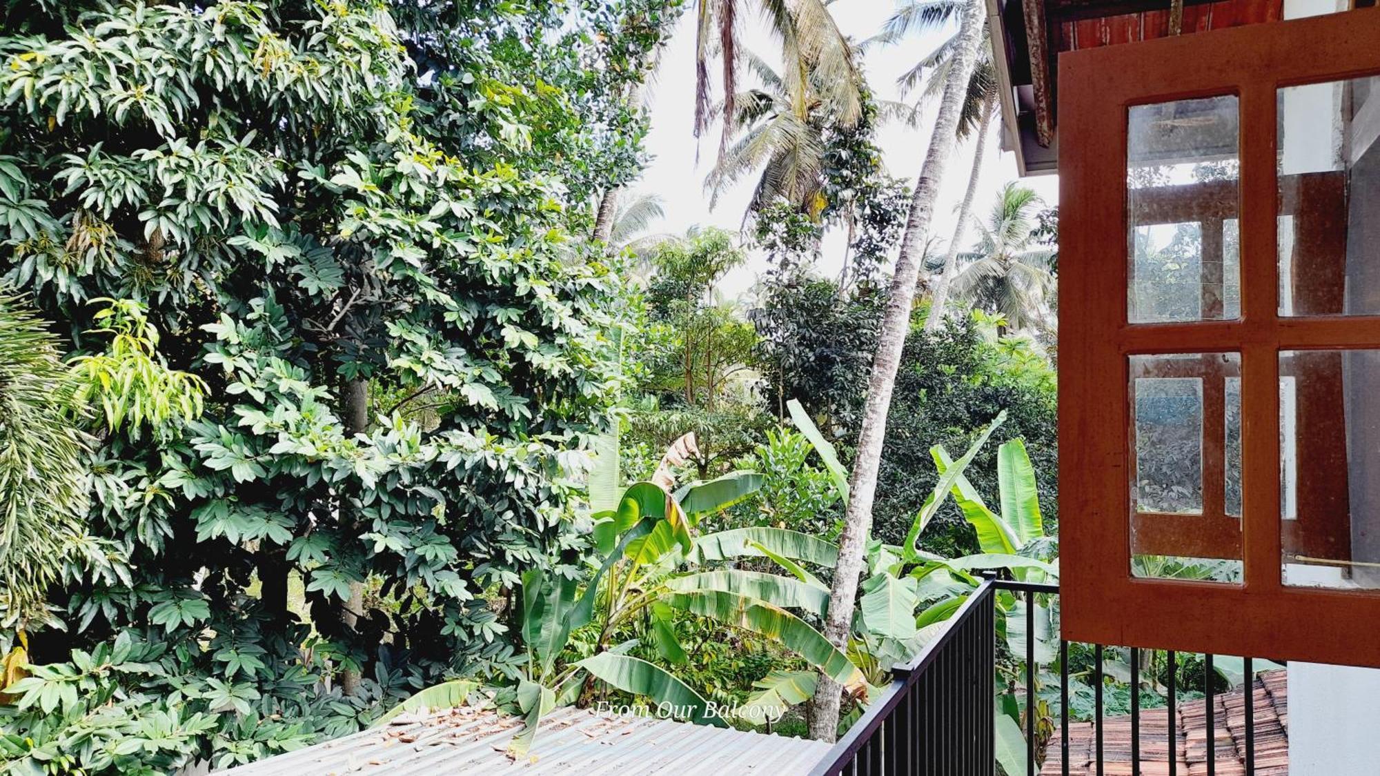 Le Meridien Bnb For Foreign Travelers Negombo Ngoại thất bức ảnh